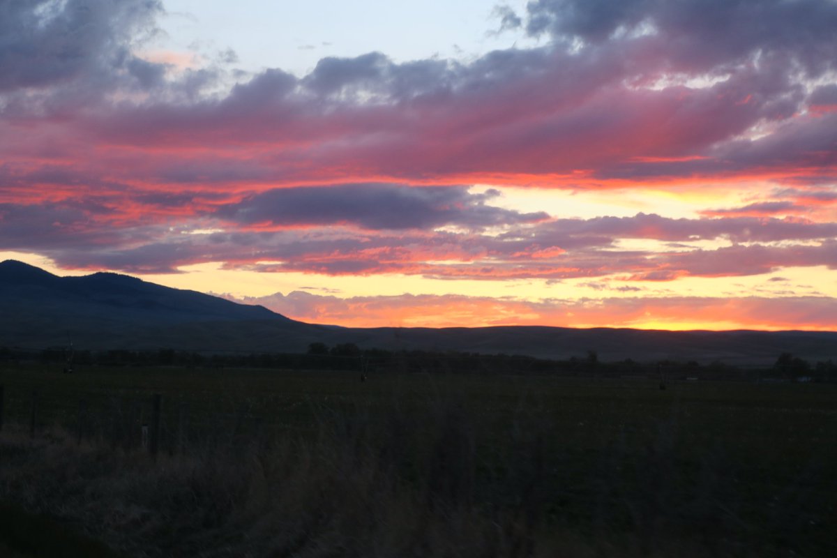 ShireCowboy's tweet photo. loving montana so far https://t.co/TrICHI2YUZ