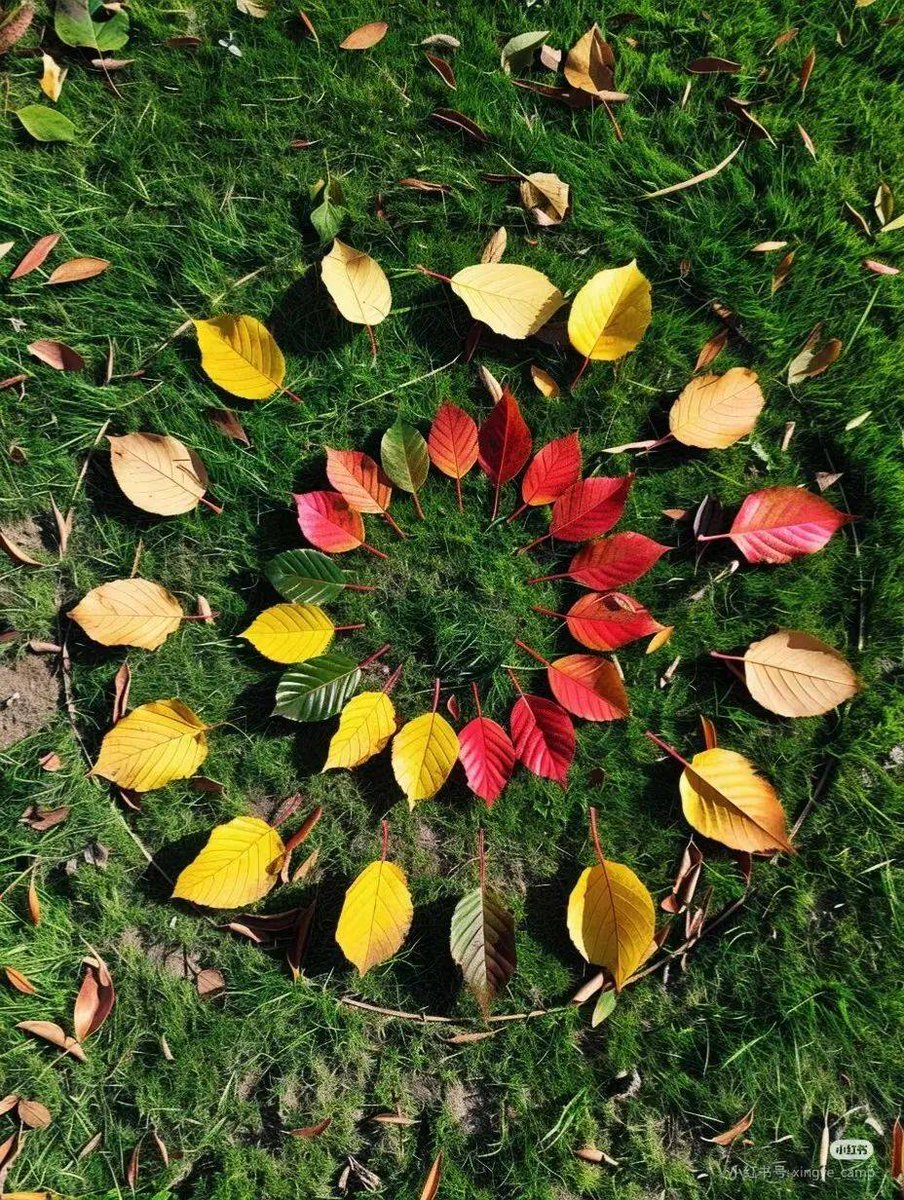 KellyMiller8's tweet photo. Fun morning with my little explorer! We hunted for leaves, laughed till our tummies hurt, and turned a walk into a memory full of giggles. Parenting wins, today! https://t.co/g4KQcFXAoG