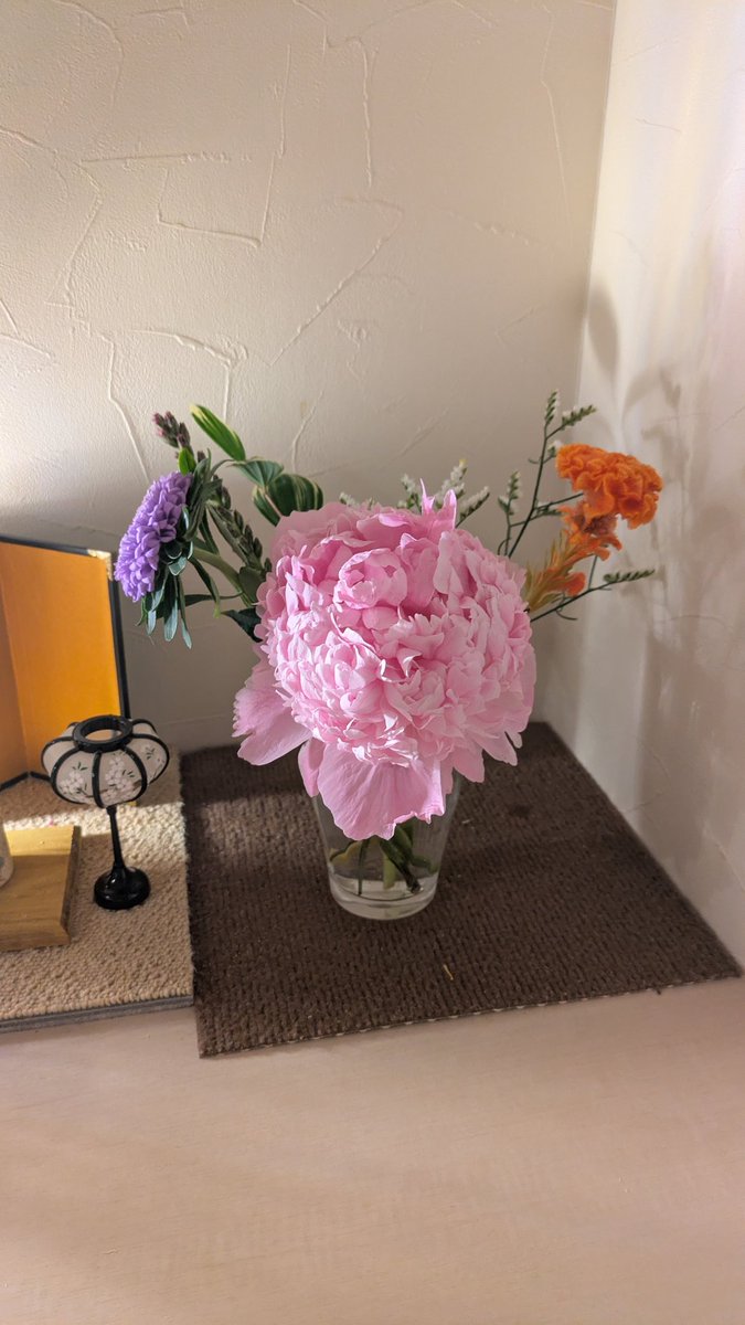 beautifulfaice's tweet photo. #medelu#お花の定期便 https://t.co/bacaMRNGj2