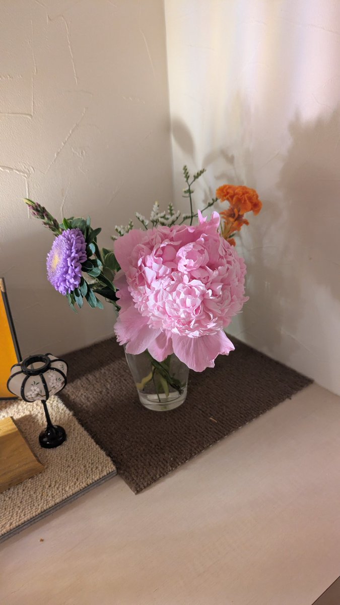 beautifulfaice's tweet photo. #medelu#お花の定期便 https://t.co/bacaMRNGj2