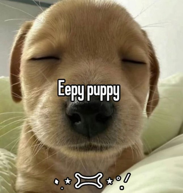 PupGirlBlair ^w^ 🏳️⚧️ tweet media