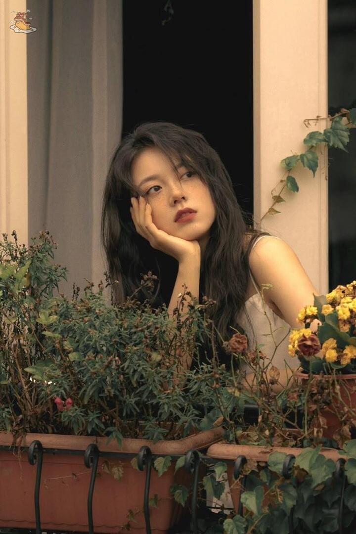 SOC-IE 💛 ˚☽˚.⋆ tweet media