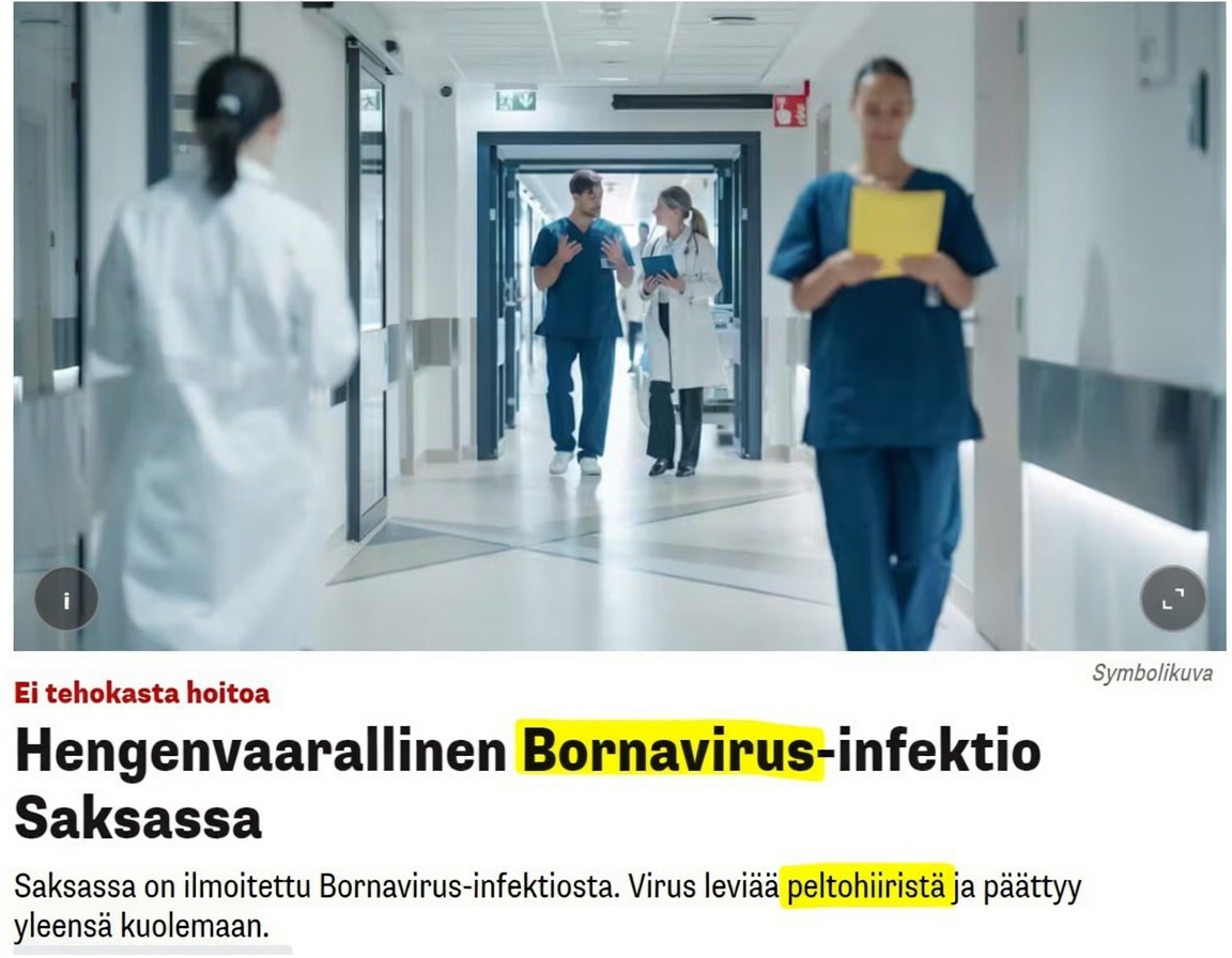 Aatteleppaitte's tweet photo. Korona on lypsetty kuiviin, hantavirus jäi starttikuoppiin ja ebola on jo niin vanha pelote, että kukaan ei enää hätkähdä. 

Mutta ei hätää – tervetuloa uusi tähti on Bornavirus ! https://t.co/vxWLW6VVzk