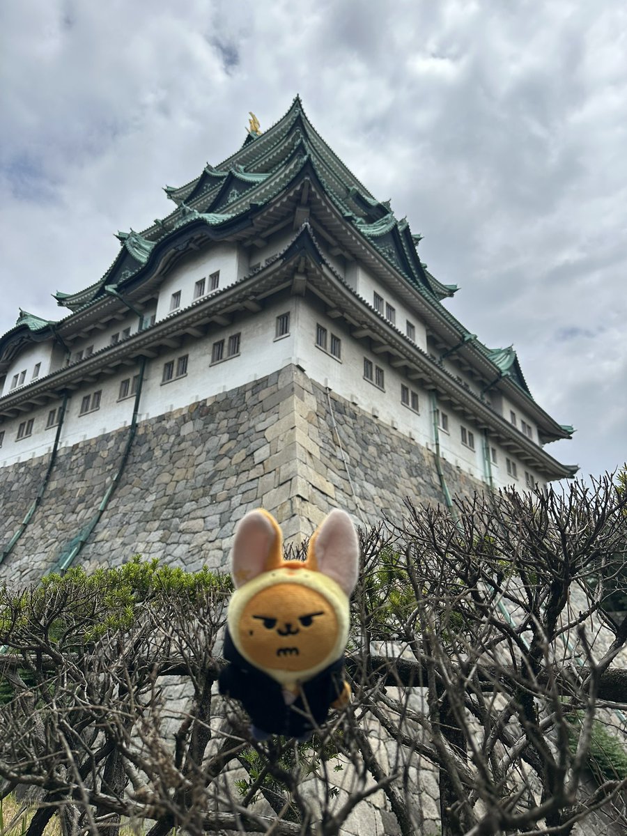 commune_re's tweet photo. 鯱と遠近ツーショ https://t.co/aRdIqemebP