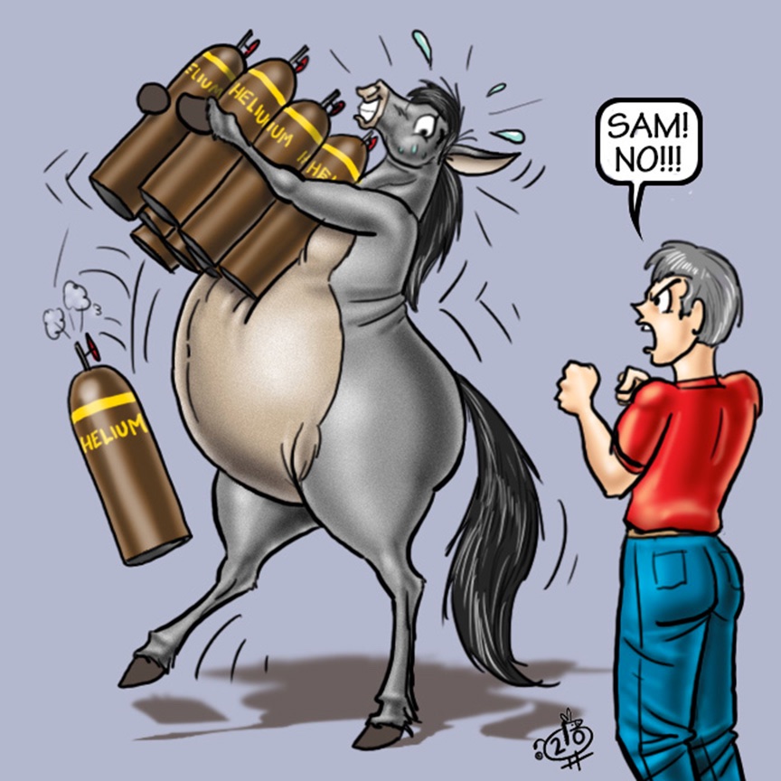 BigHorse tweet media
