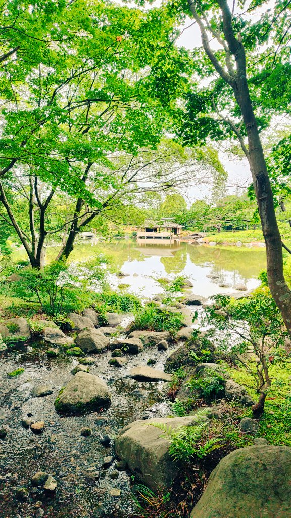 うすい☄ tweet media