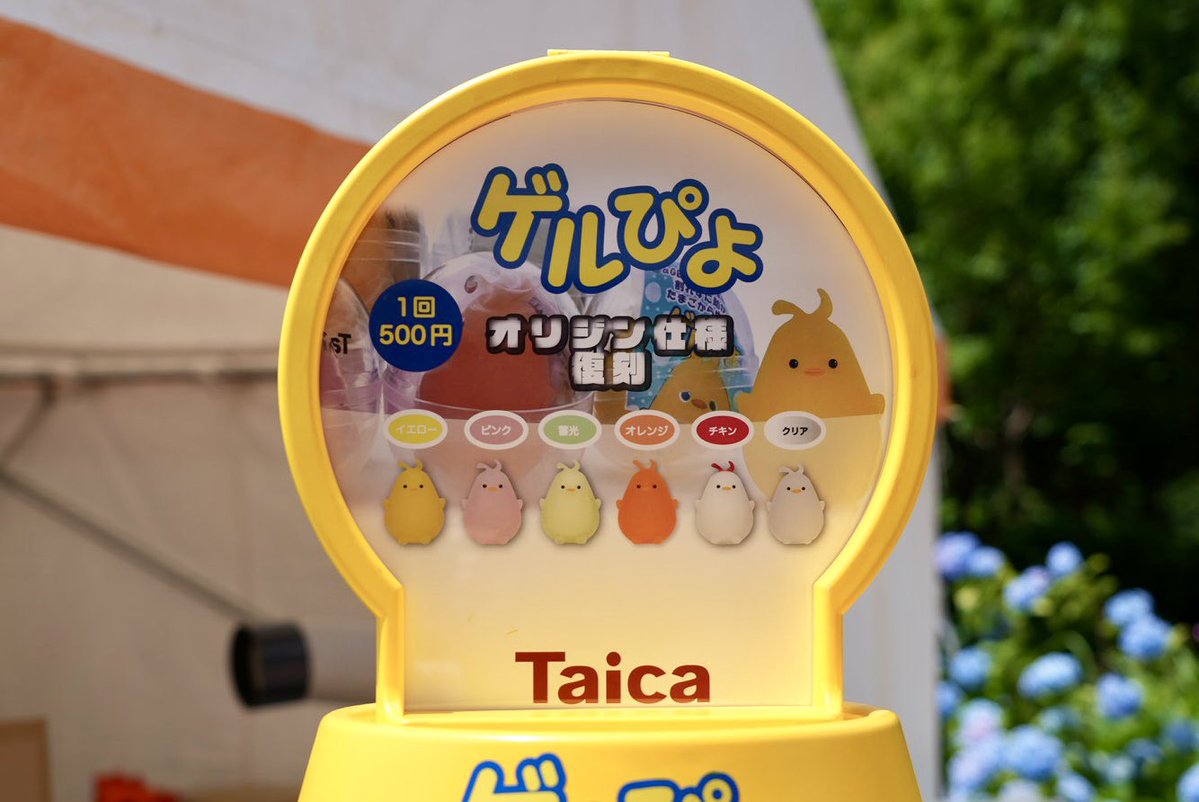 ついにオープンしたピヨ！！🔥 国立、もう人すごいピヨ🐥 全力で