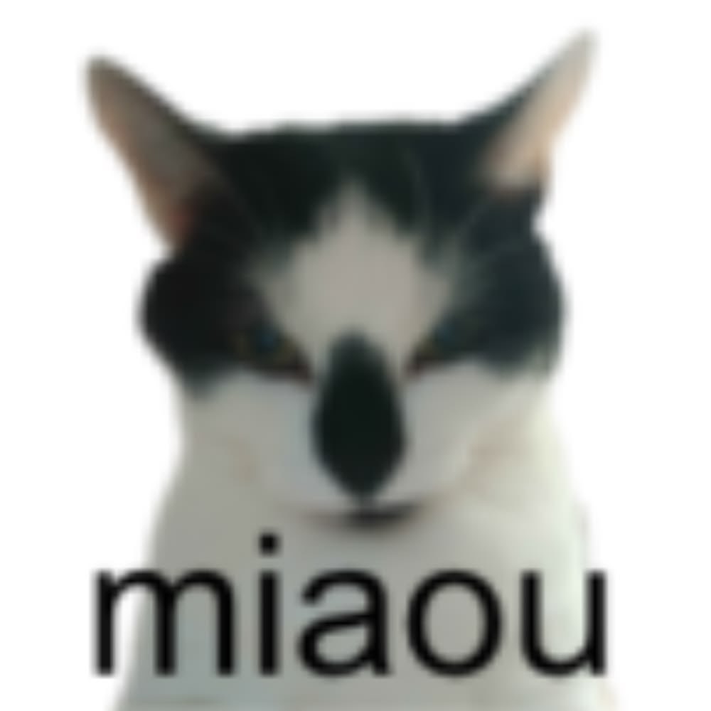 gatos fazendo gatices tweet media