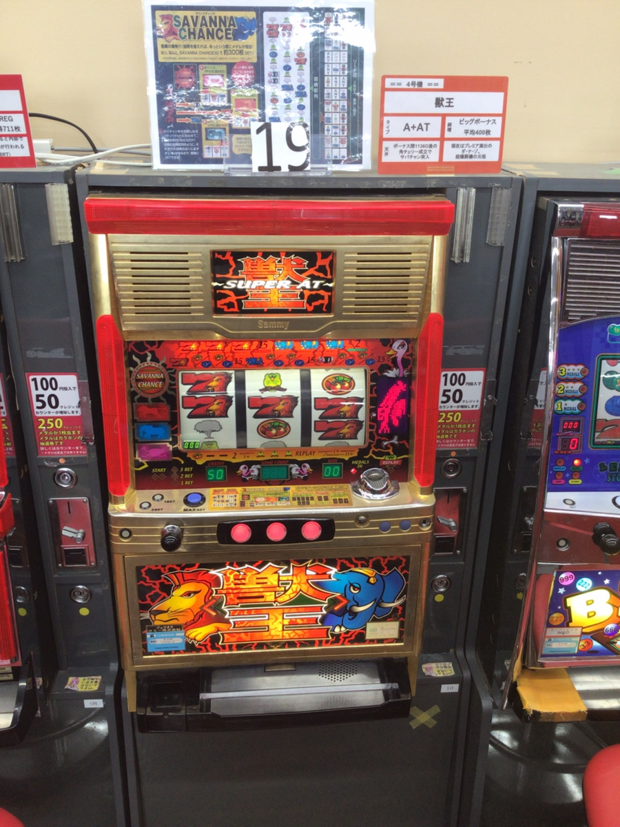 shoten19's tweet photo. @slot456bakari 
利根書店長野アップルライン店です！

今月5月の新規導入台です♪
・獣王
・祭りの達人

懐かしいですね～4号機バリバリ世代には懐かしい機種を選定しました。
ぜひ遊びに来てくださいね♪ https://t.co/qYq1eI62Xl