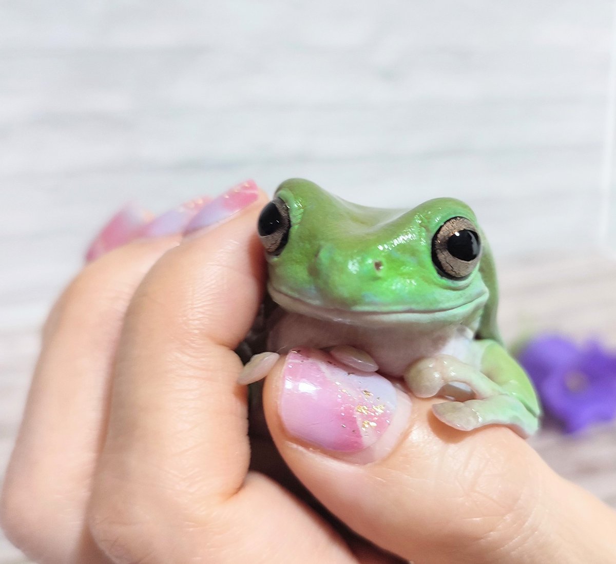 KAORI (@ApparelKaori) / Posts / X