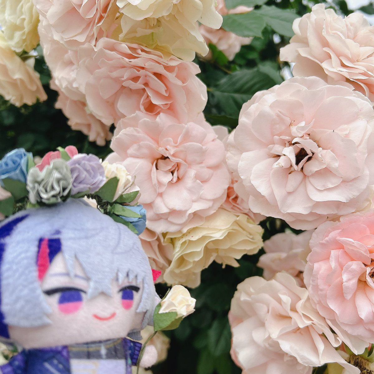 ゆずパパやすくん Post by ゆずは🧃 on X: かわいい🌹