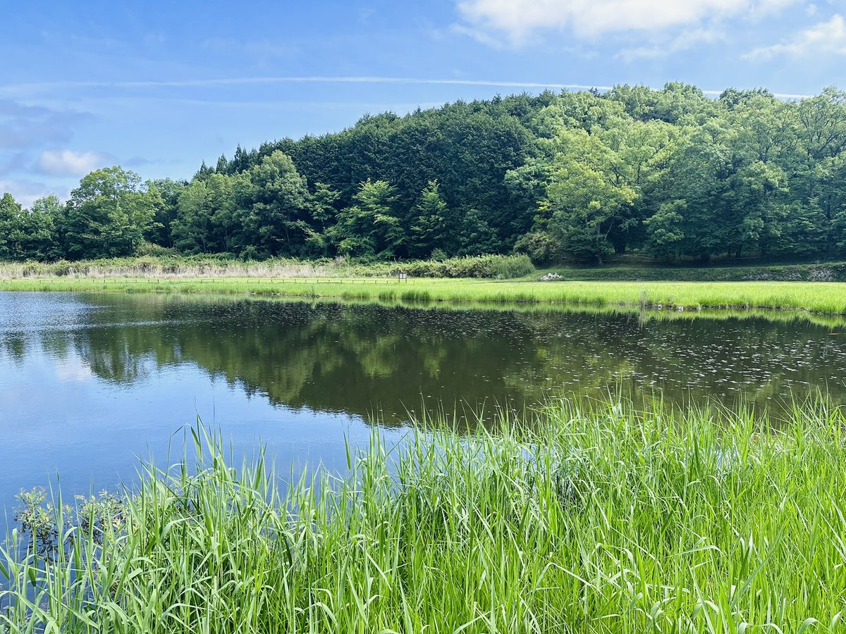 takayan_3 tweet media