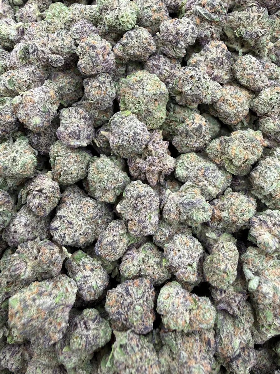 KushWorld tweet media