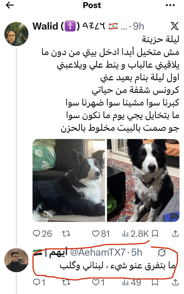 Walid (☦️) 𐤅𐤋𐤉𐤃 🇱🇧 tweet media