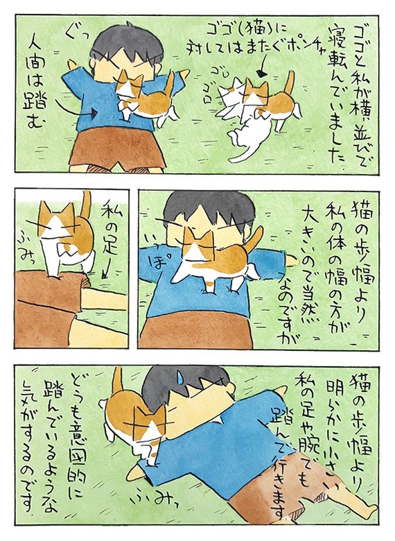 ごる猫 Σ(っ=ΦωΦ)っ tweet media