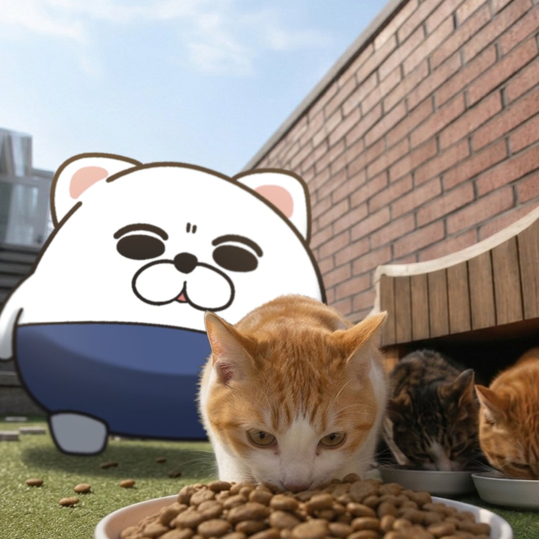 바지냥이 bajinyangi tweet media