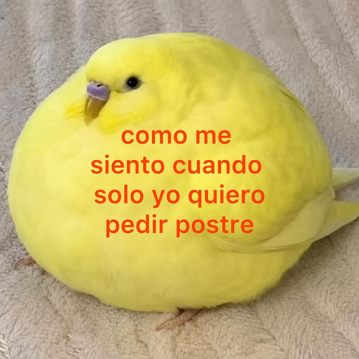 Lonely🥀 tweet media