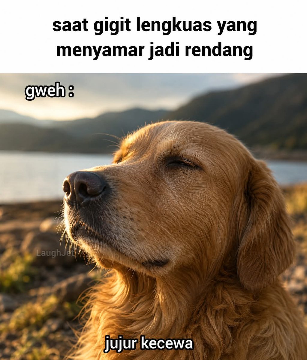 Recehin Aja tweet media