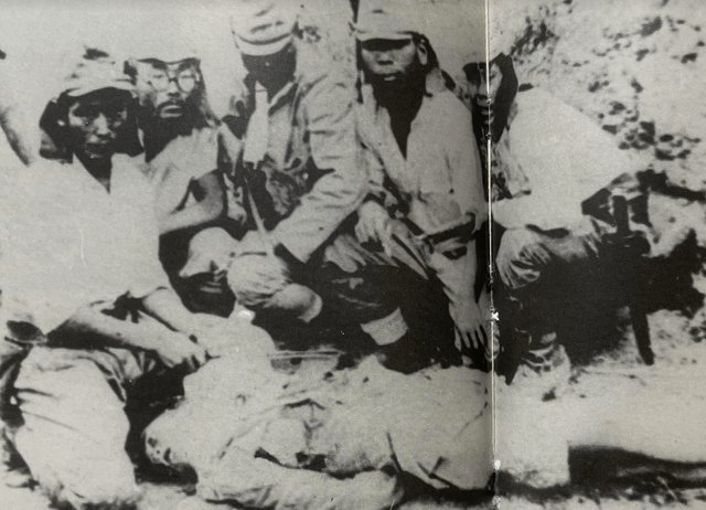 WW2 The Eastern Front tweet media