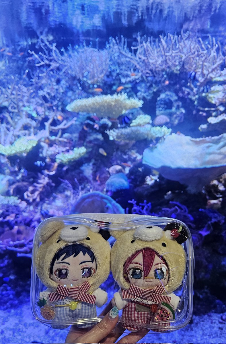 ぐりお💘 (@gurioKNK) / Posts / X