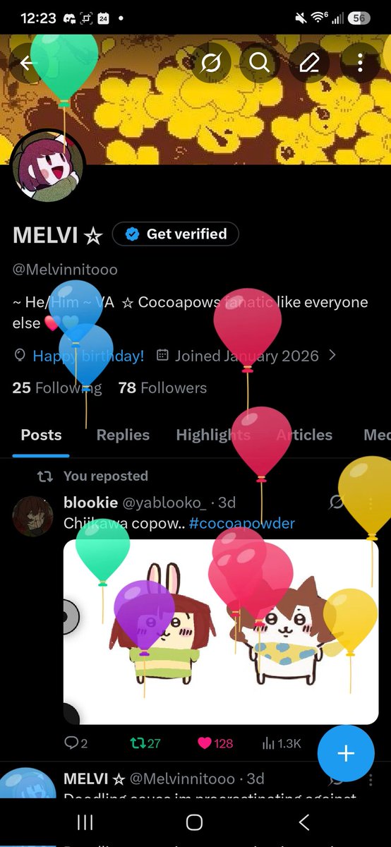 MELVI ☆ tweet media