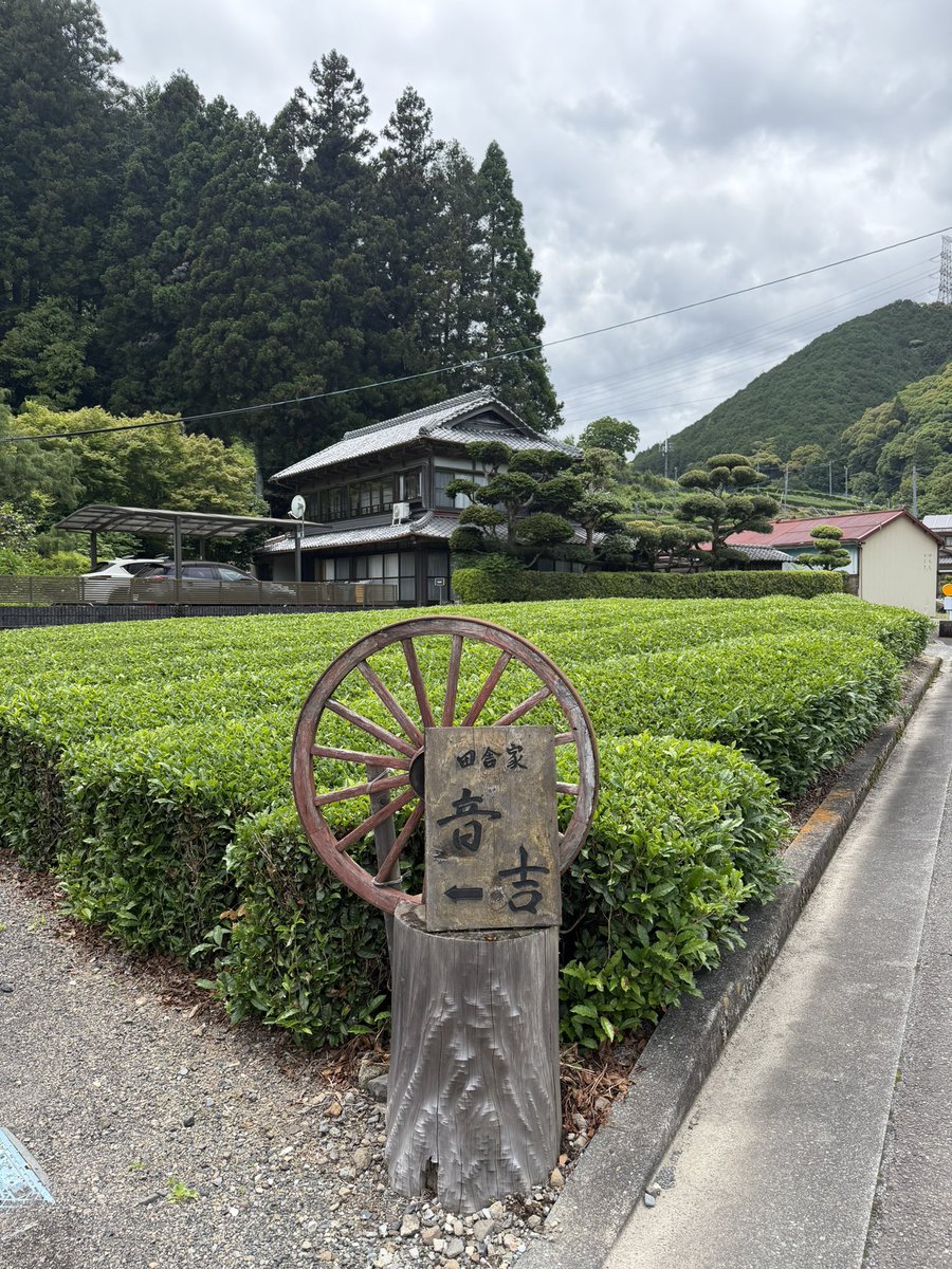 yanamera87's tweet photo. 古民家音吉
自然薯とろろが優勝すぎる🏆
静岡最高 https://t.co/MMGCVYP9tL
