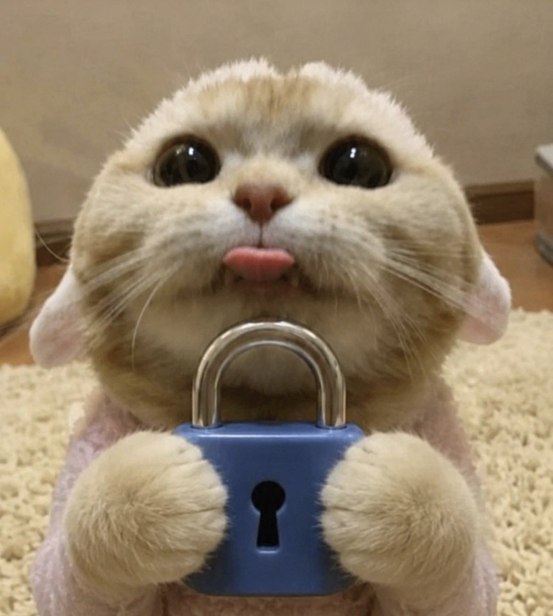 blep tweet media