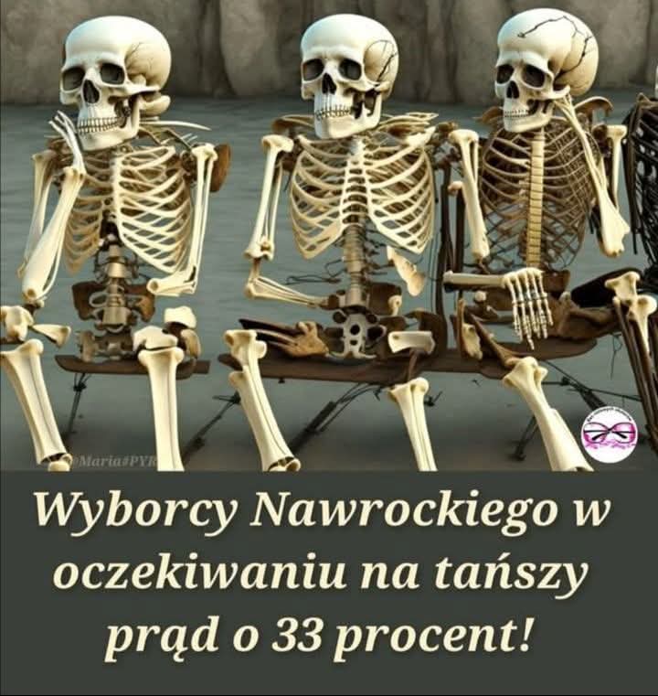 Zbigniewa tweet media