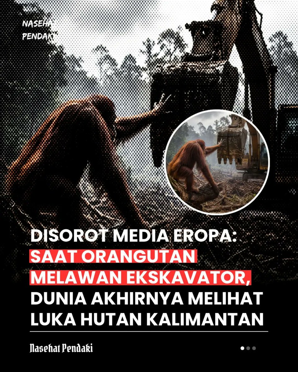 𝔹𝕚𝕃𝕃 ℝ𝕒𝕐 tweet media