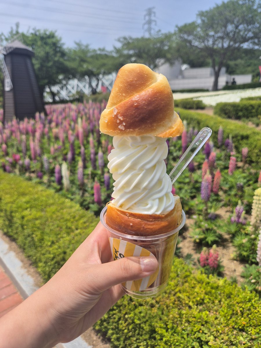 BJD_moony's tweet photo. 울산 장미 축제에 간
빨간 사과 솔음이🥰🍎❤️✨️ https://t.co/l7O7SYVMpo