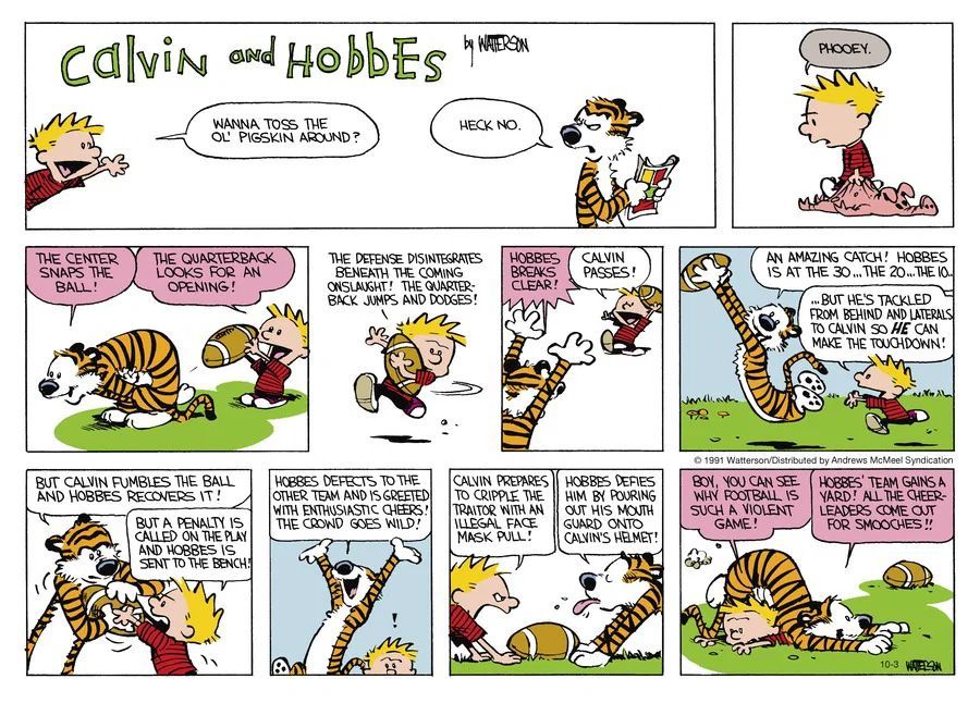 Calvin and Hobbes Fan Account tweet media