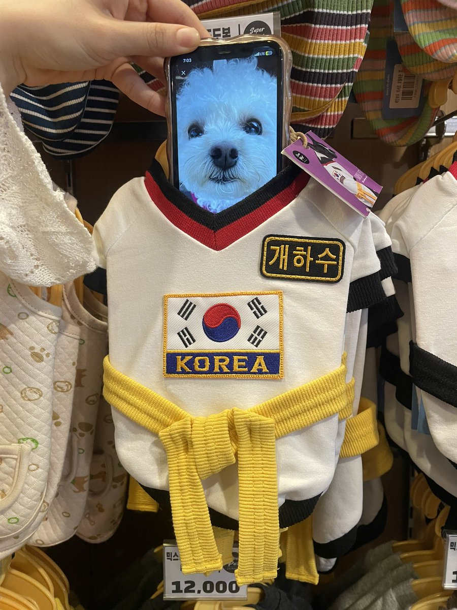 최밥풀 tweet media