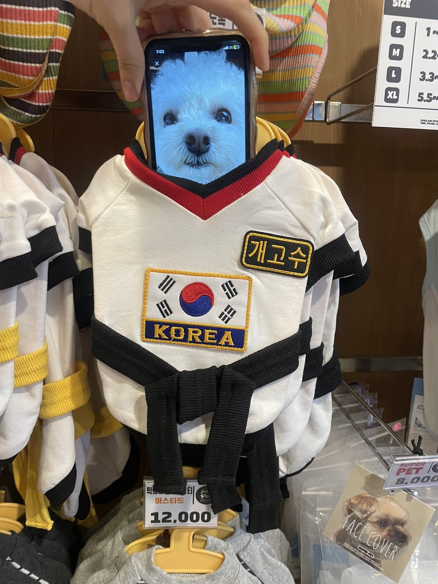 최밥풀 tweet media