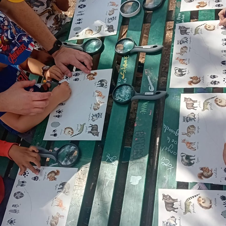 CENTROCAMPILLO's tweet photo. 🐿️🐾Siguiendo el rastro de la ardilla, los participantes que nos han acompañado han aprendido sobre los animales del bosque mediterráneo en el Parque Regional del Sureste. https://t.co/WZdxoNPNMw