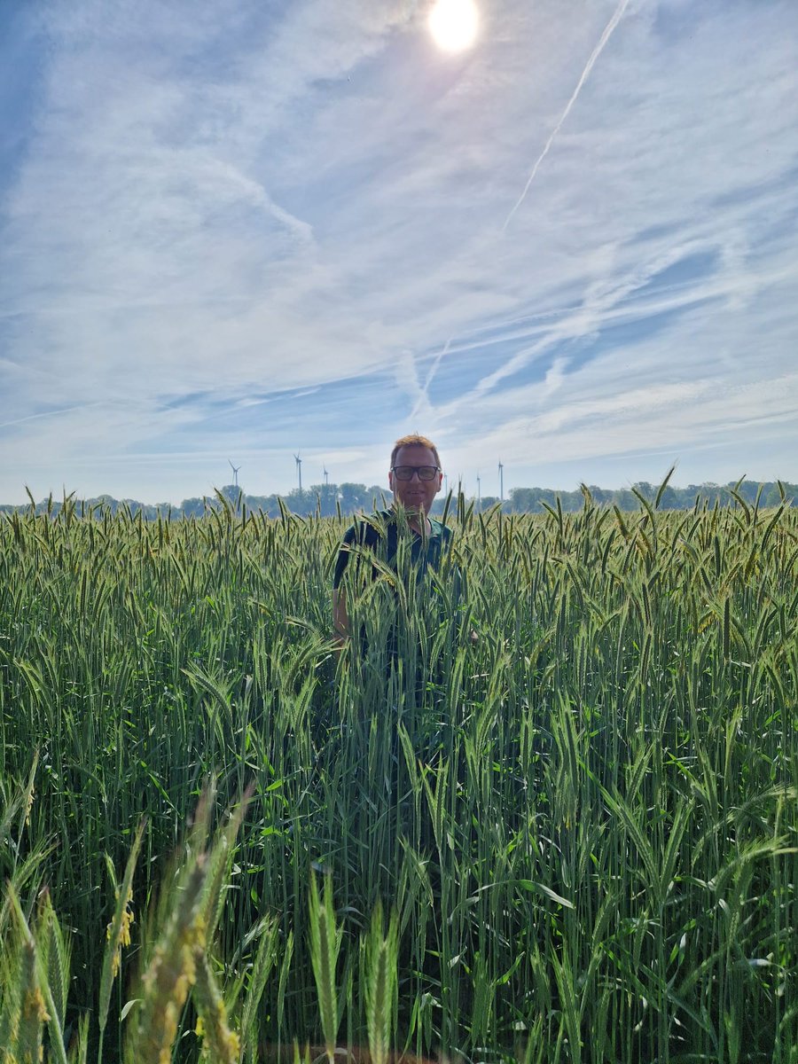 Andreas Puckert 🚜 🐖🍖🌽🌾🌻 tweet media