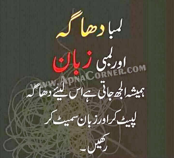 راؤ محفوظ آسی tweet media
