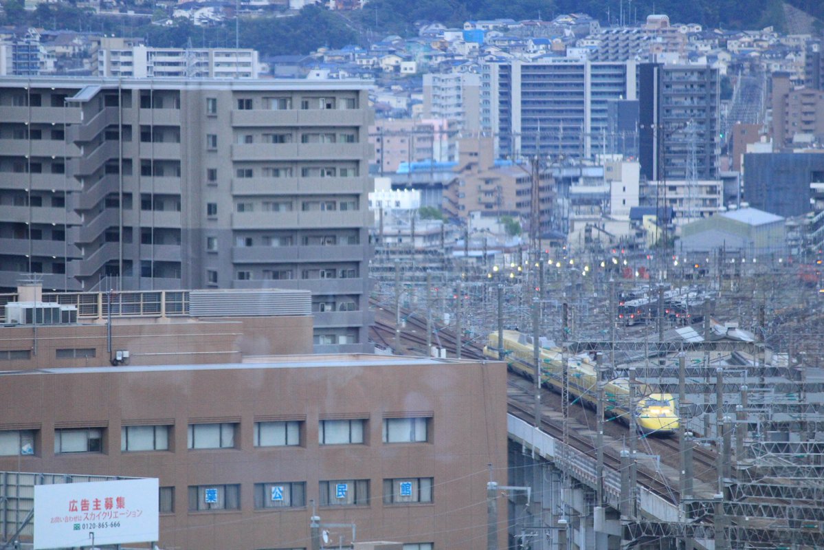 さざなみ tweet media
