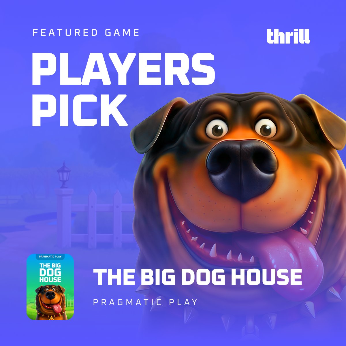 Thrill.com tweet media