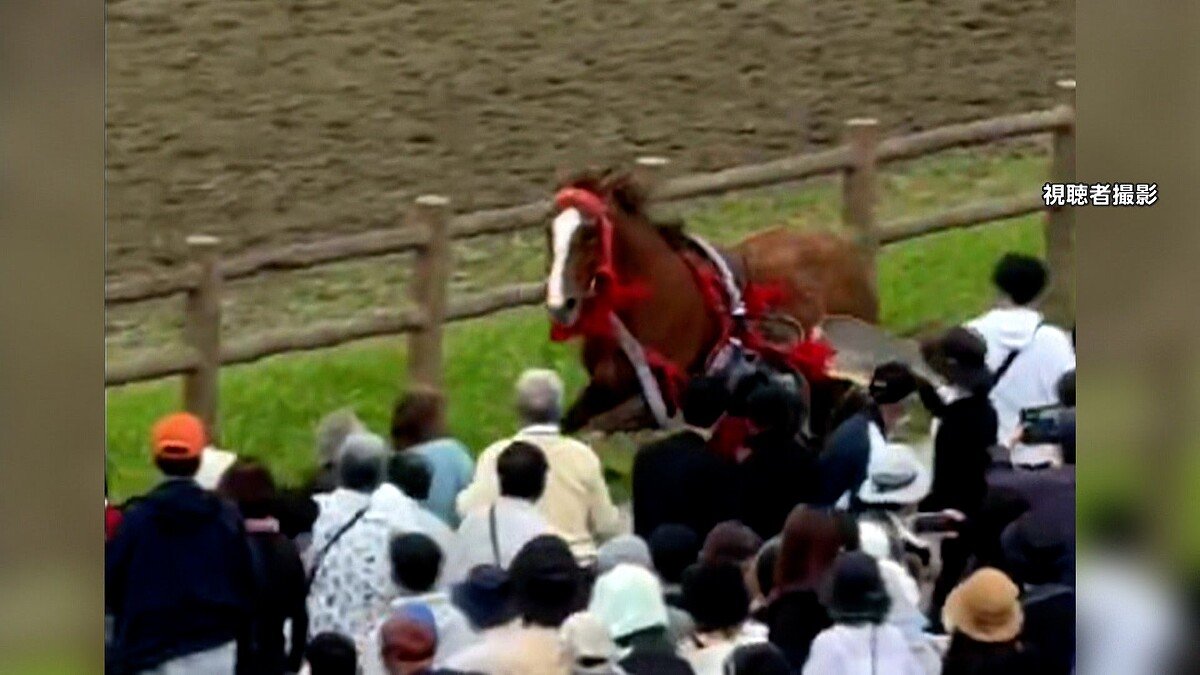 ライブドアニュース tweet media