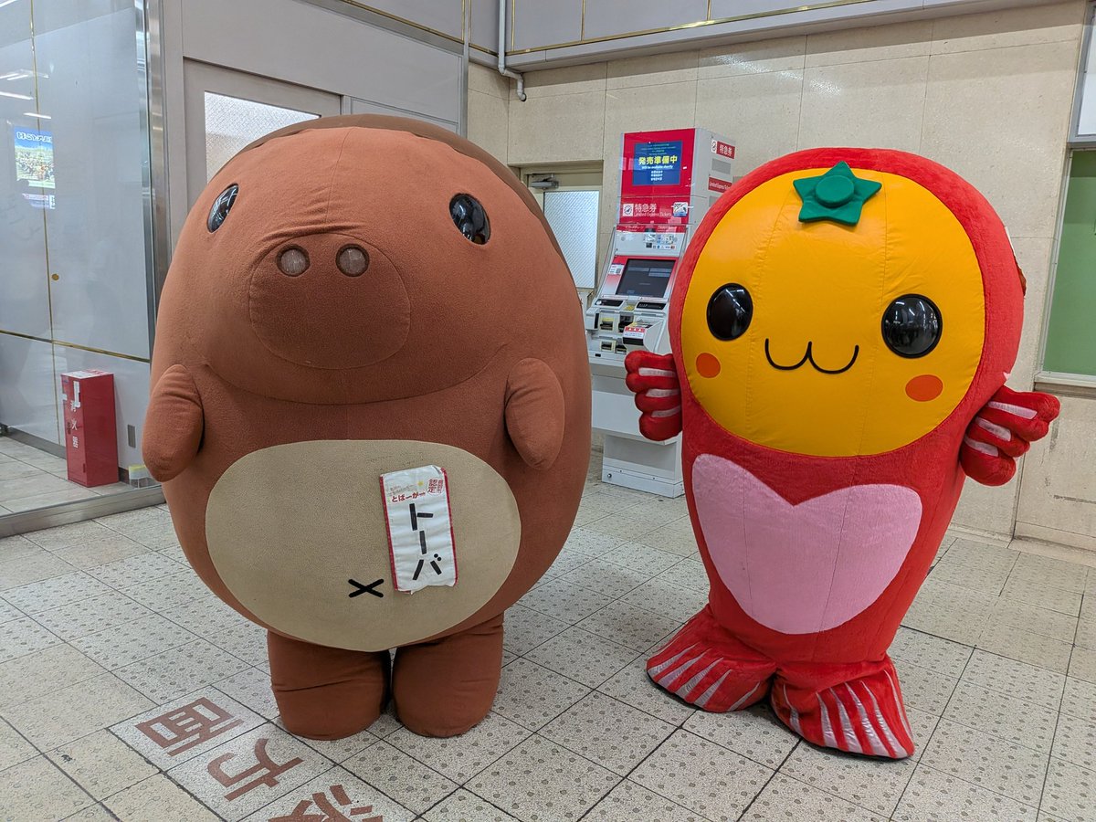 津ぅ行人 tweet media