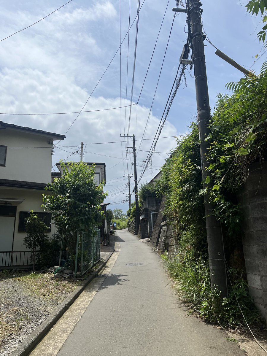 _houhouhou's tweet photo. とても久しぶりに母校以外の大学を訪ねることになり、
Google先生頼りで向かっていたら、田んぼが広がっていた（）
そして案内されたこの通用門はどう見ても公園の入り口にしか見えない（） https://t.co/62GhsTBRfu