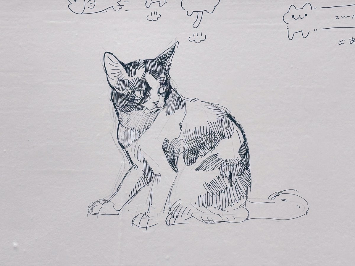 猫島 まよ🐈Nekojima Mayo (@may0_u) / Posts / X
