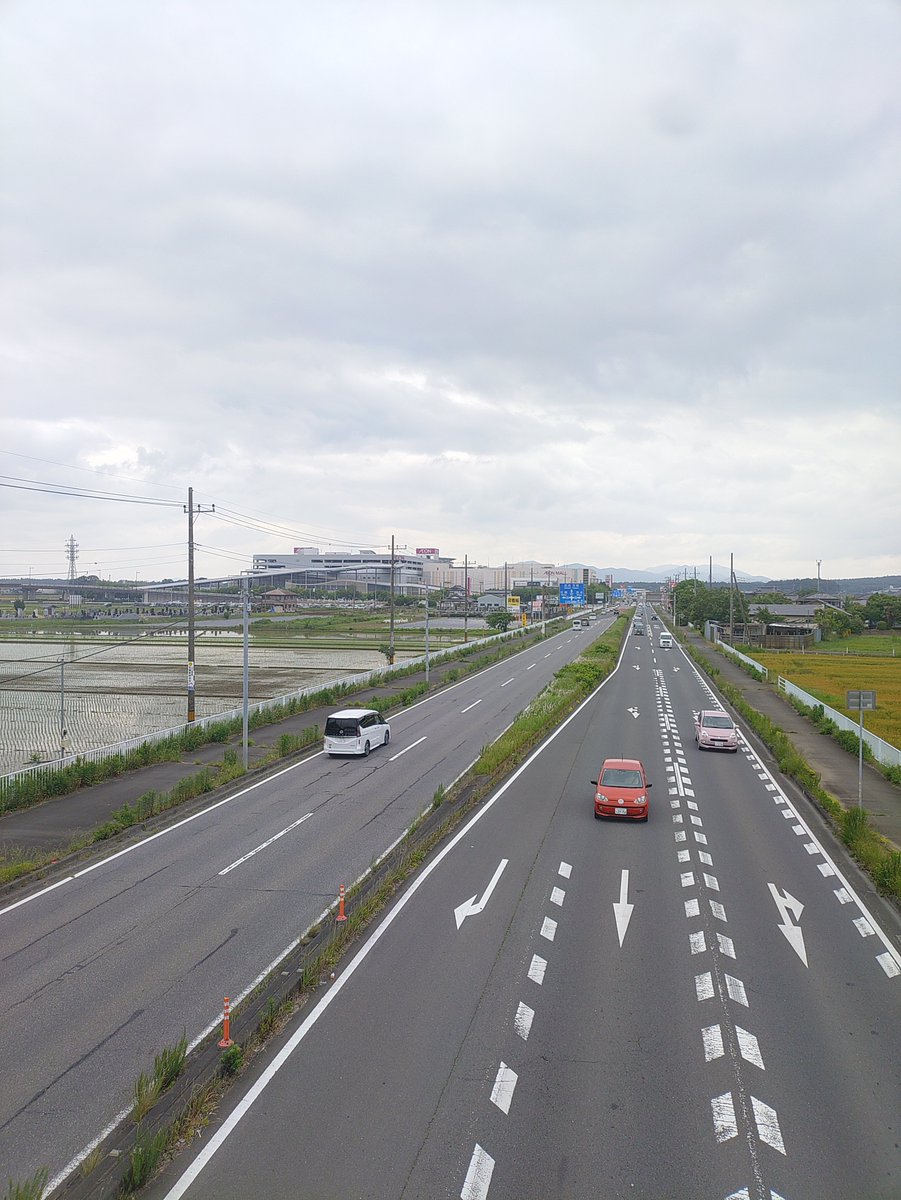 su1971's tweet photo. 今日は運動しようと思って10kmオーバーのウオーキング https://t.co/yBW9mqFwau