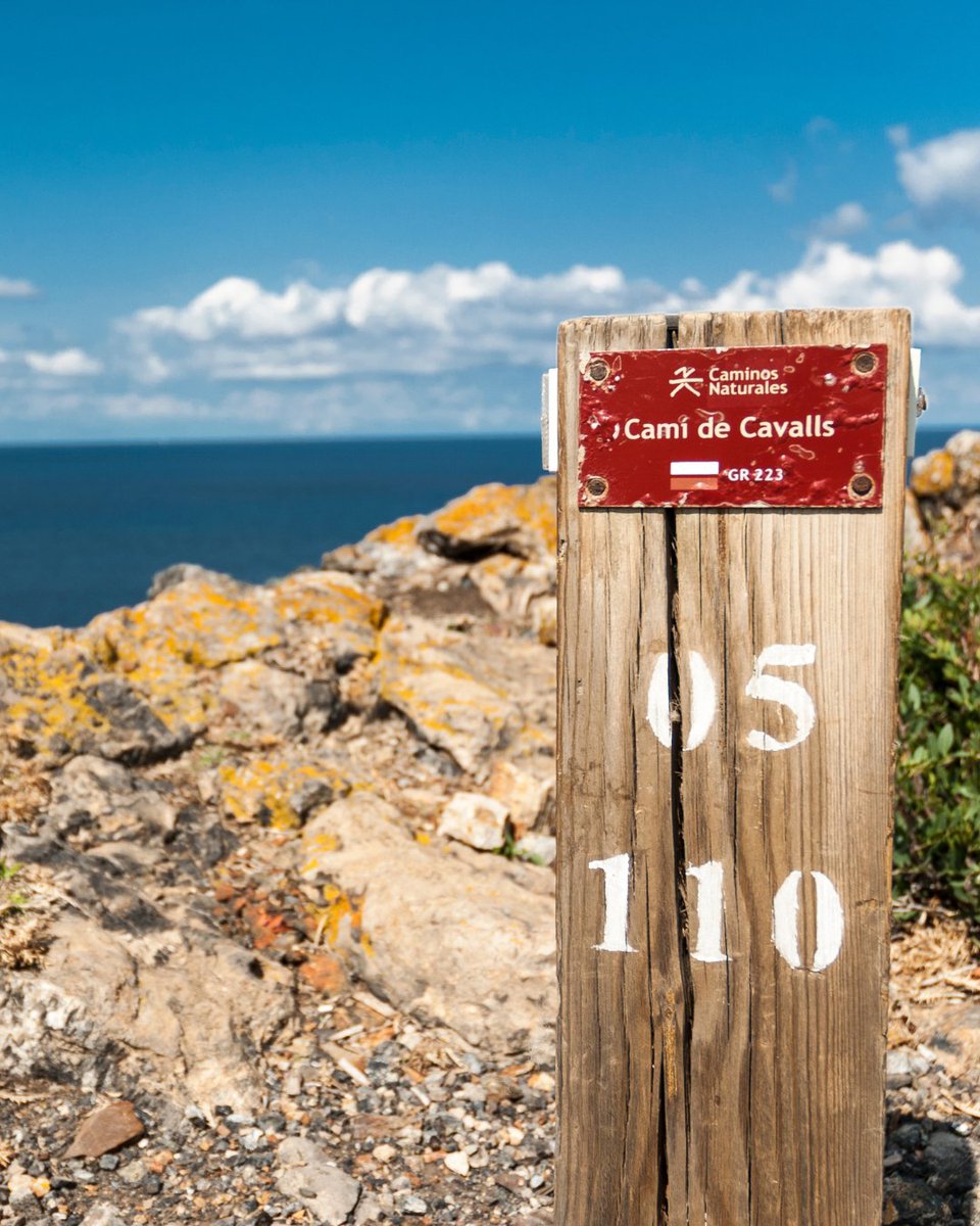 Turismo Illes Balears tweet media