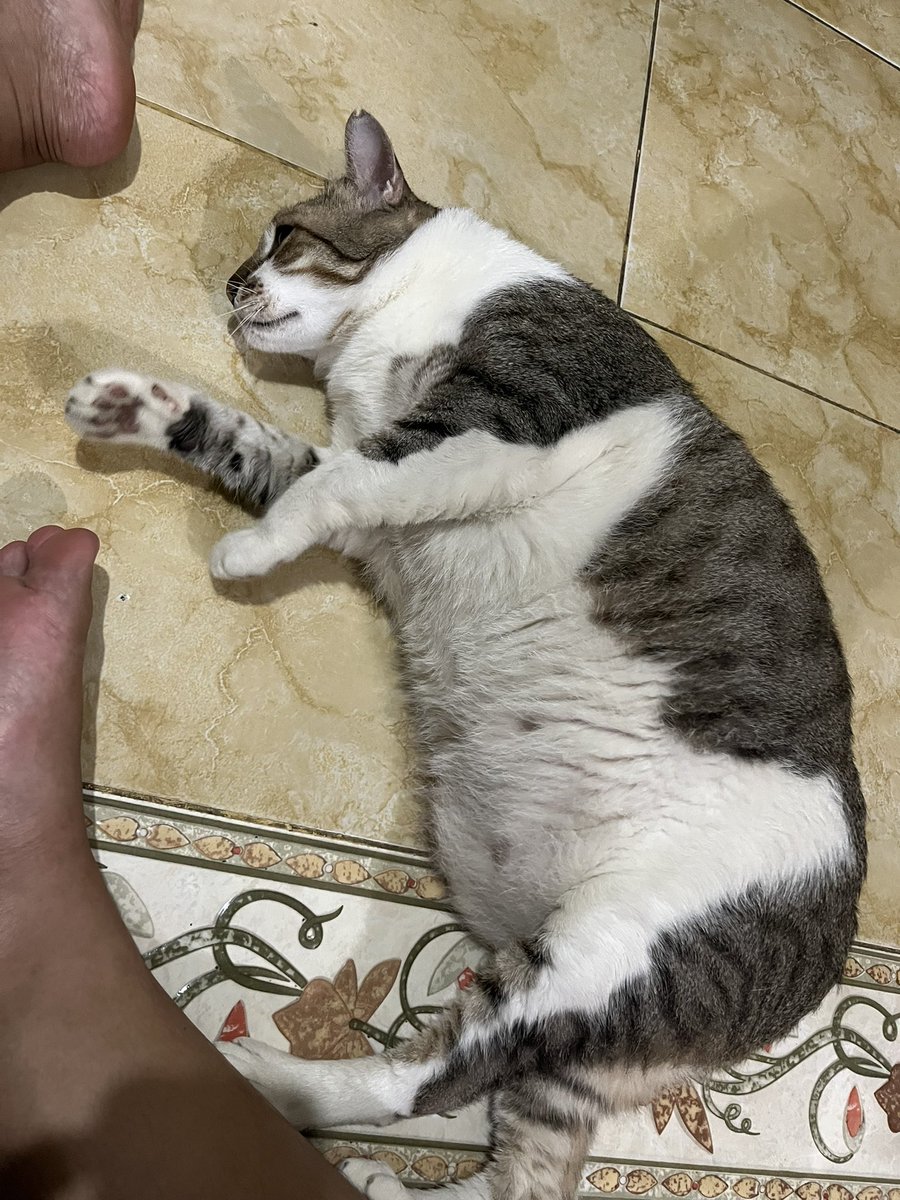 UMA😾 tweet media