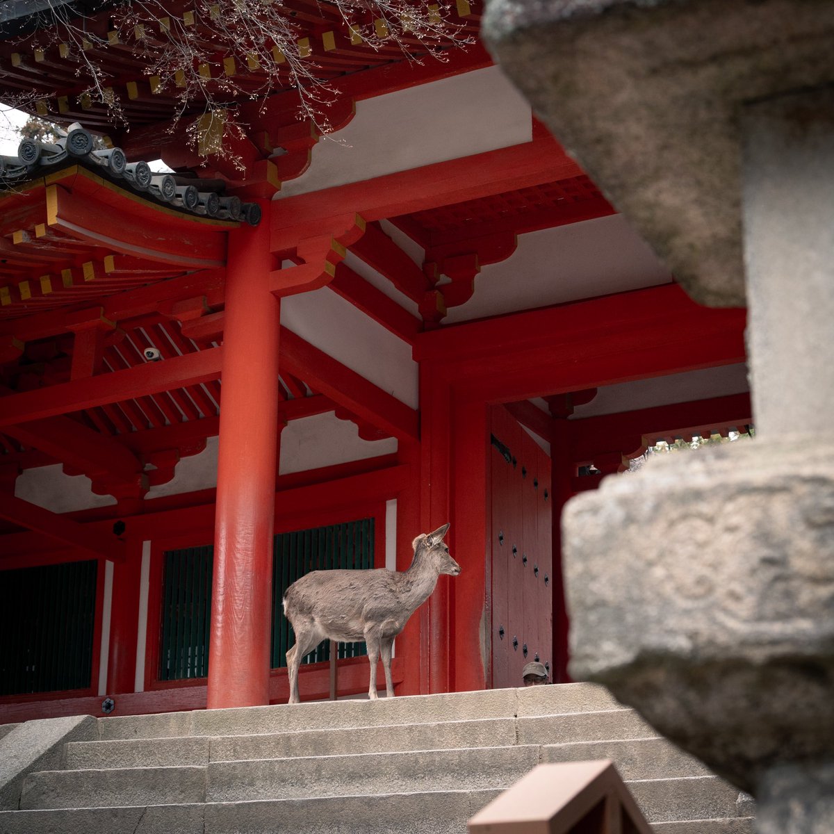 kiva12138's tweet photo. ���良🫪 https://t.co/BB0W00pB2X