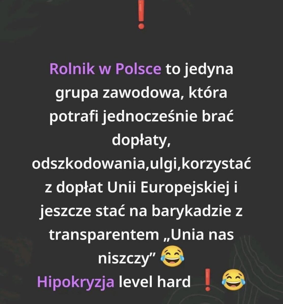 Anko tweet media