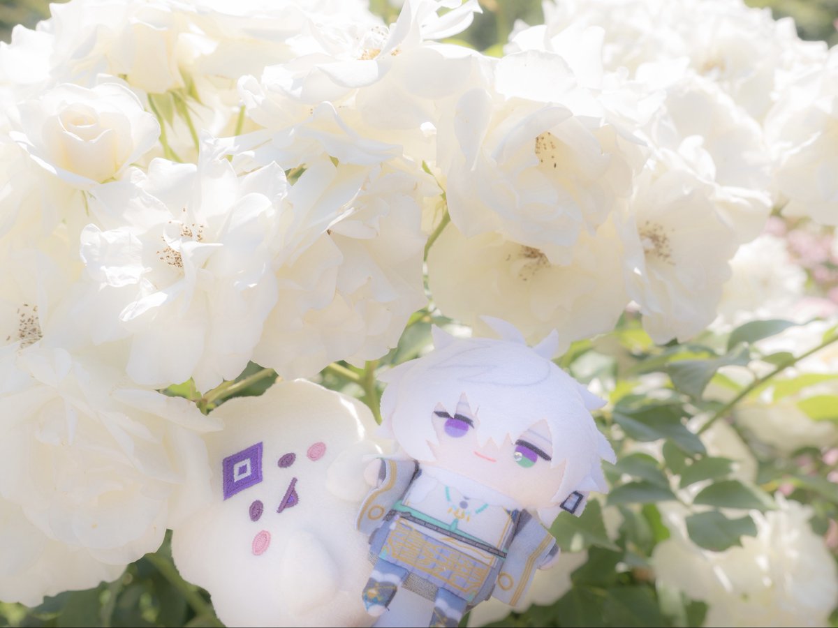 ぴ tweet media