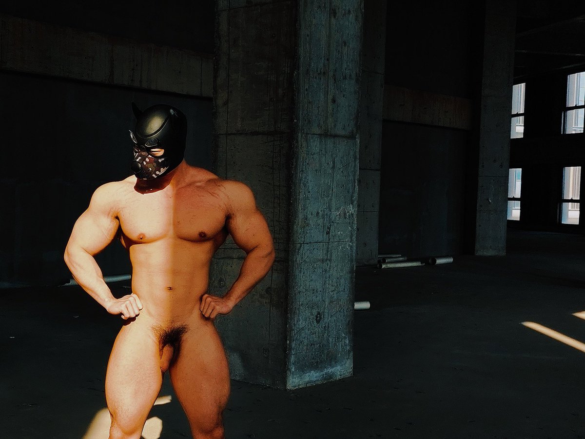 Muscle Factory tweet media