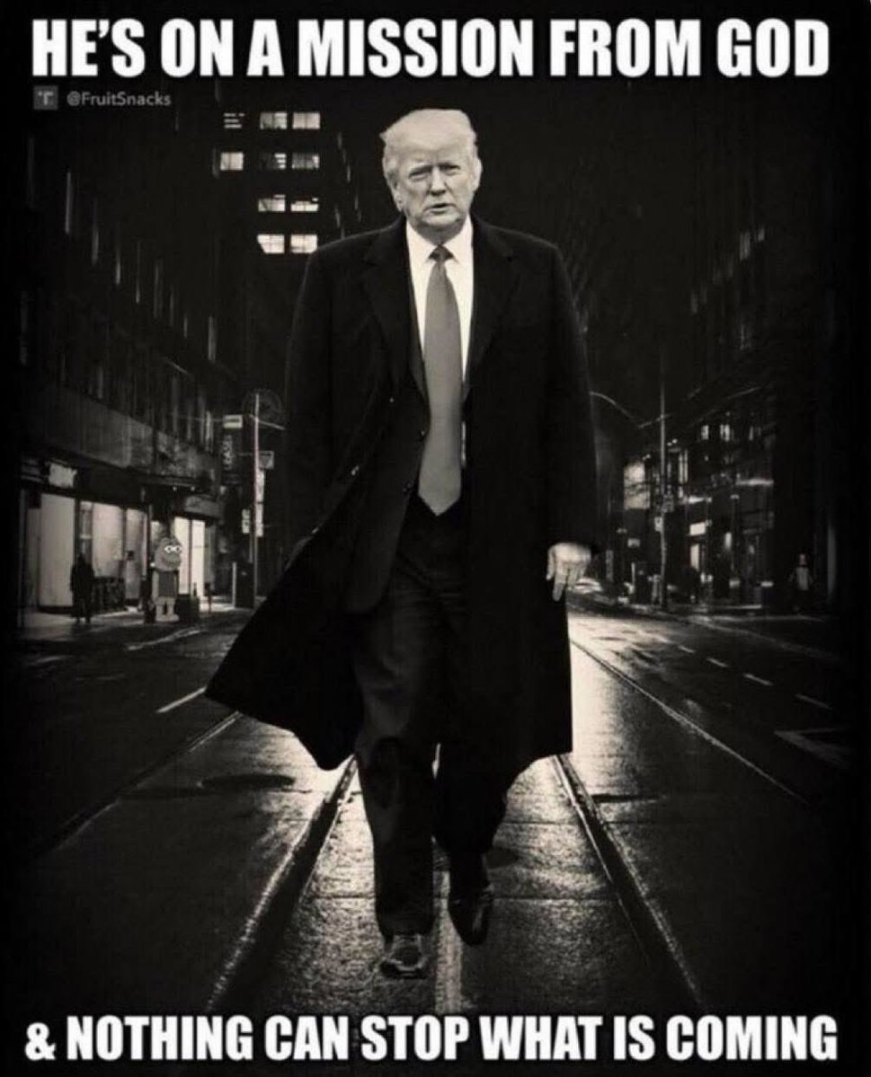 THE Q STORM tweet media